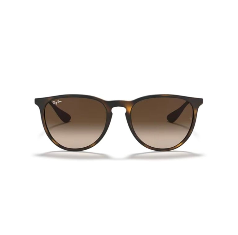 Ray Ban Erika Classic